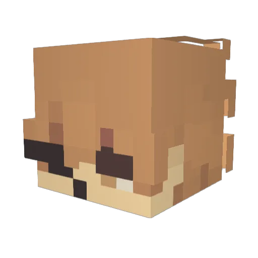 Dexio__ Minecraft avatar head, 3D render