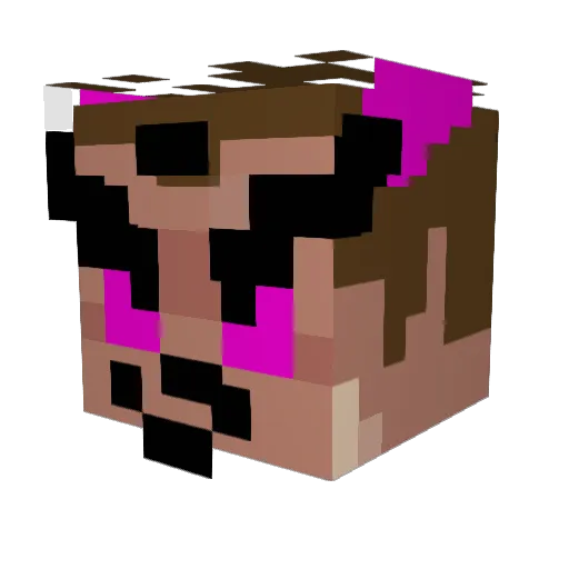 Dexiwnl Minecraft avatar head, 3D render