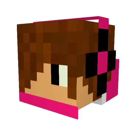 Dexminer9 Minecraft avatar head, 3D render