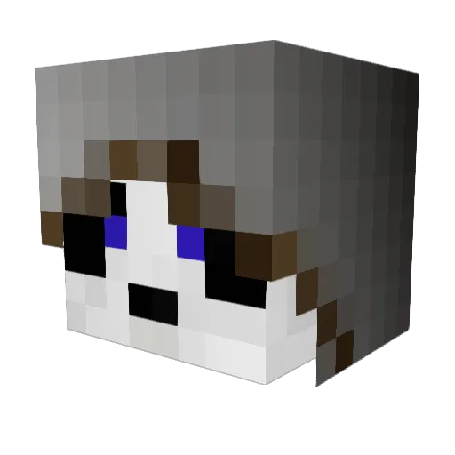 Dexryu Minecraft avatar head, 3D render