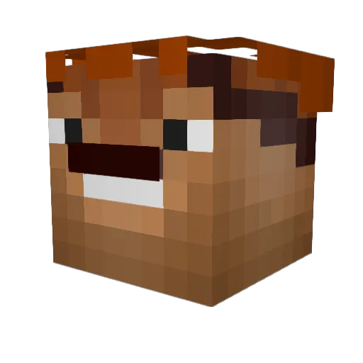 Dextah_Jettstah Minecraft avatar head, 3D render