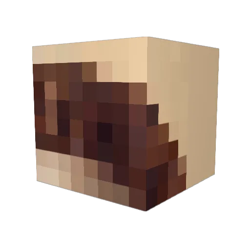 Dexter11929 Minecraft avatar head, 3D render