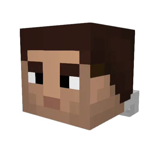 Dexter141 Minecraft avatar head, 3D render