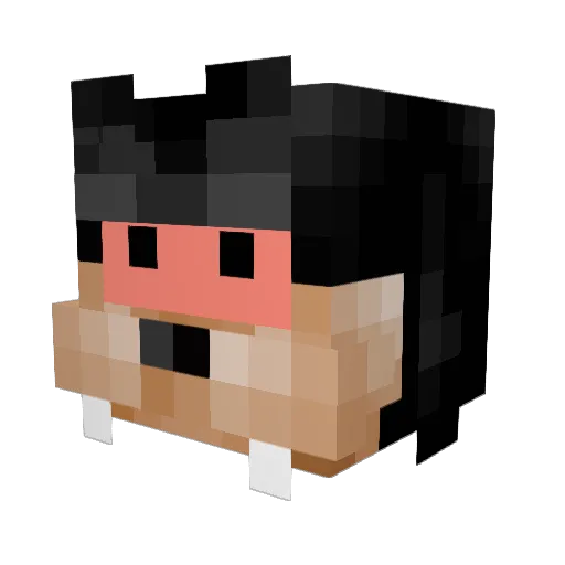Dexter_99 Minecraft avatar head, 3D render