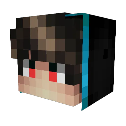 Dexter_boy Minecraft avatar head, 3D render