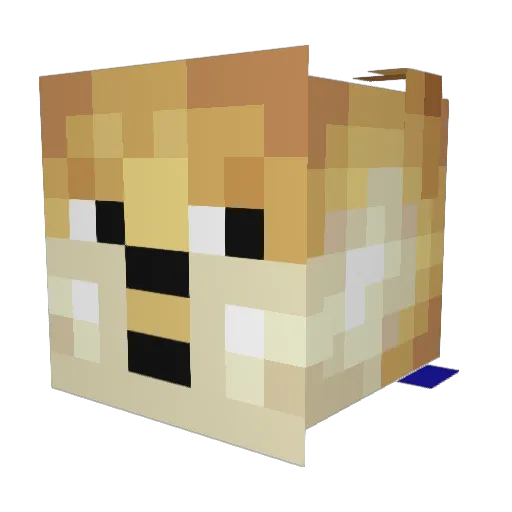 Dexterduelz Minecraft avatar head, 3D render