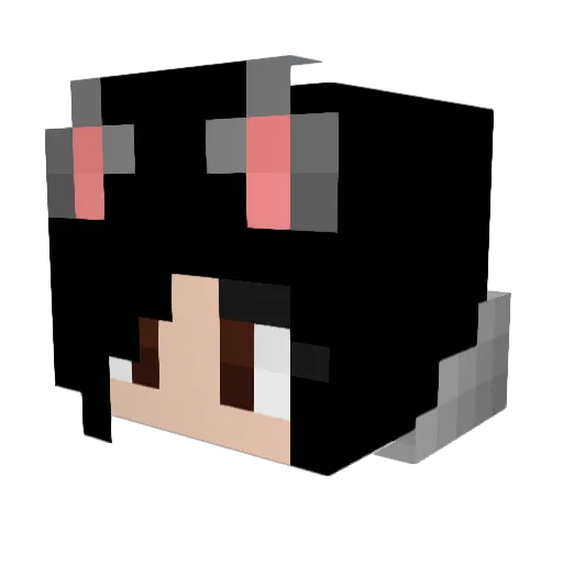 Dexterette Minecraft avatar head, 3D render