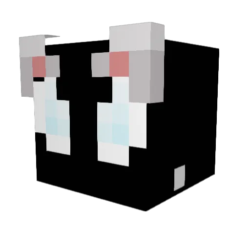 Dexterss_ Minecraft avatar head, 3D render