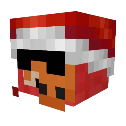 Dexx77 Minecraft avatar head, 3D render