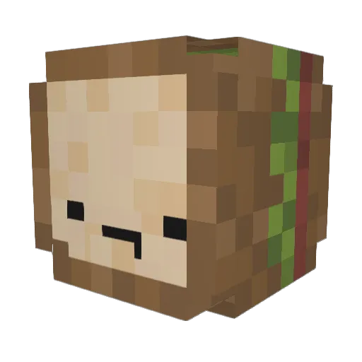 Dexxa_ Minecraft avatar head, 3D render