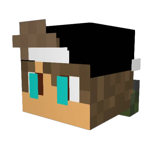 Dexxer Minecraft avatar head, 3D render
