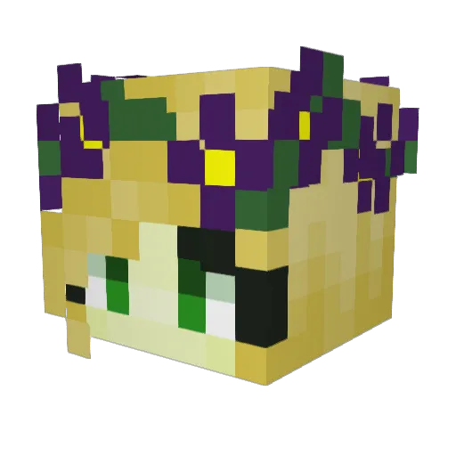 Deydey_Tea Minecraft avatar head, 3D render