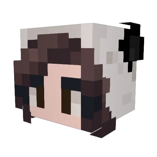 Dezy_The_Panda Minecraft avatar head, 3D render