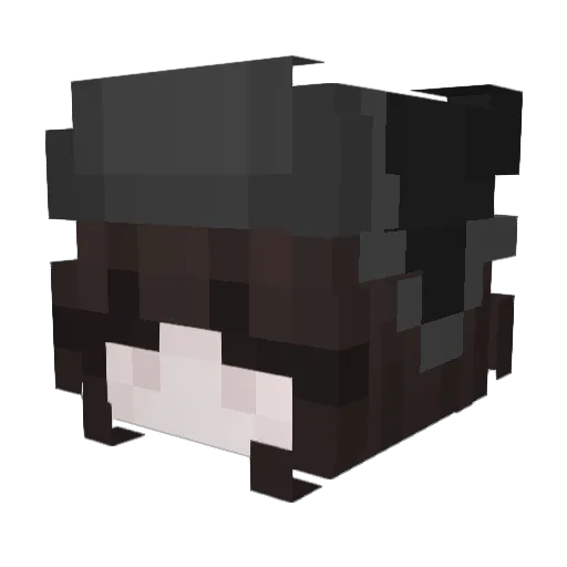 Dfcw Minecraft avatar head, 3D render