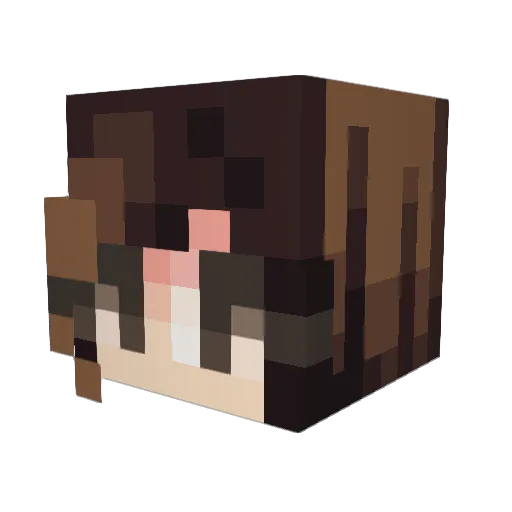Dferdoug Minecraft avatar head, 3D render