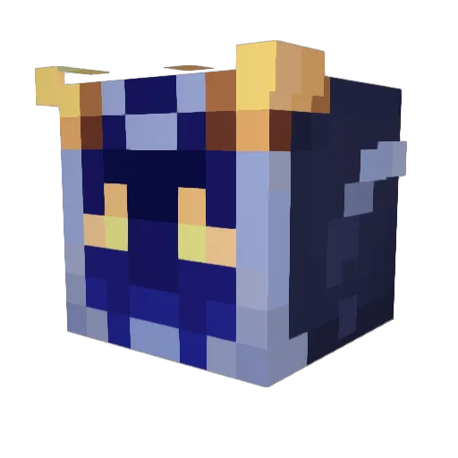 Dfox13 Minecraft avatar head, 3D render