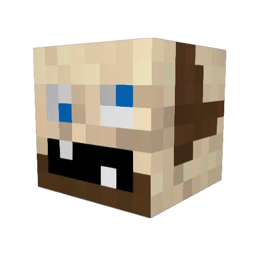 Dg155 Minecraft avatar head, 3D render