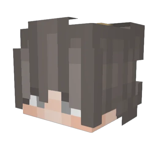 DgZeraaa Minecraft avatar head, 3D render