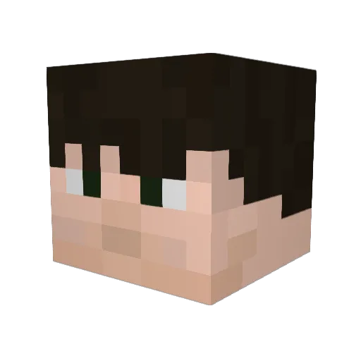 Dgaf_ Minecraft avatar head, 3D render