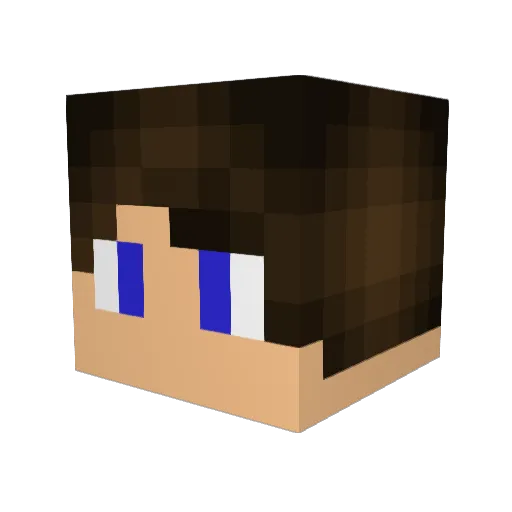 DgamersDC Minecraft avatar head, 3D render