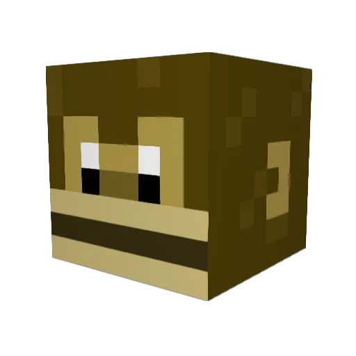 Dgj11 Minecraft avatar head, 3D render