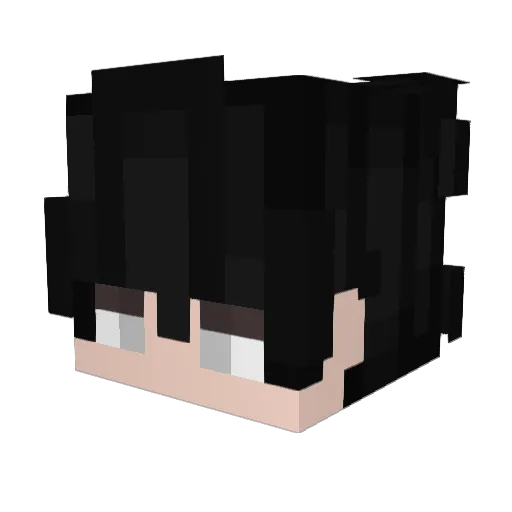 Dgo104 Minecraft avatar head, 3D render