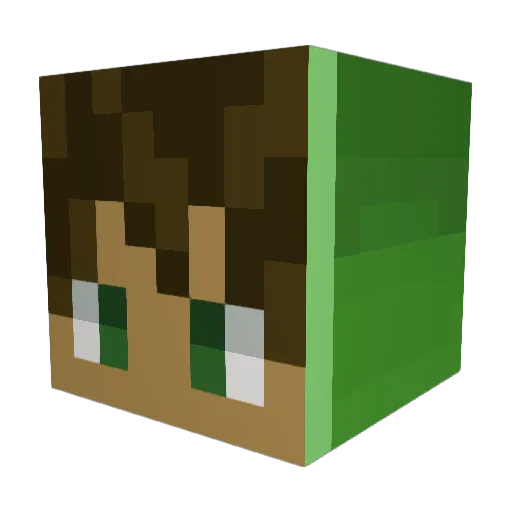 Dgodoy05 Minecraft avatar head, 3D render