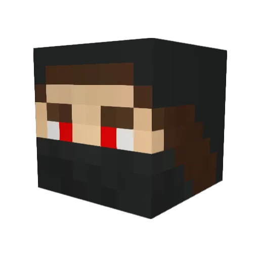 Dgrey Minecraft avatar head, 3D render