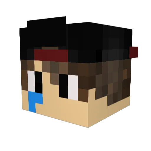 Dgzin_ Minecraft avatar head, 3D render