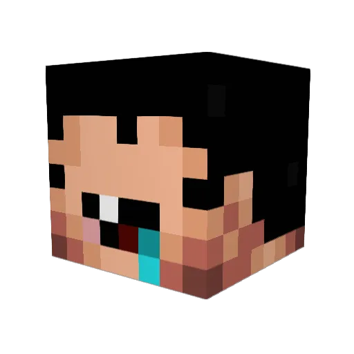Dgzk Minecraft avatar head, 3D render