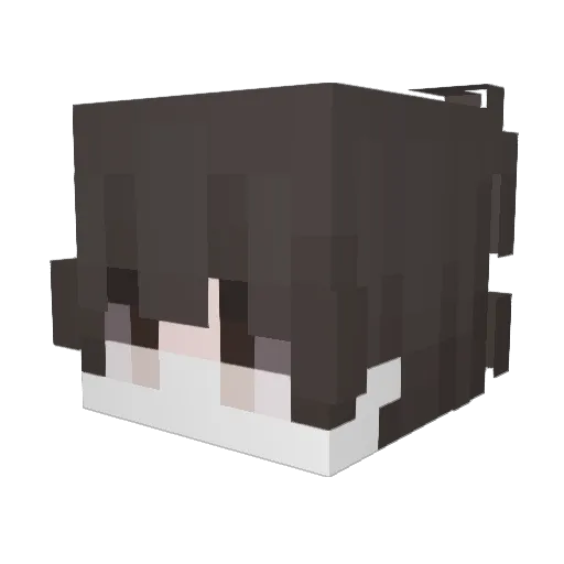 DhannV Minecraft avatar head, 3D render