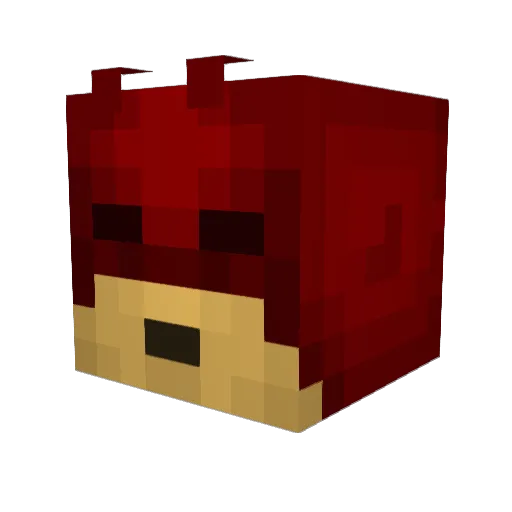 Dharma_Junior Minecraft avatar head, 3D render