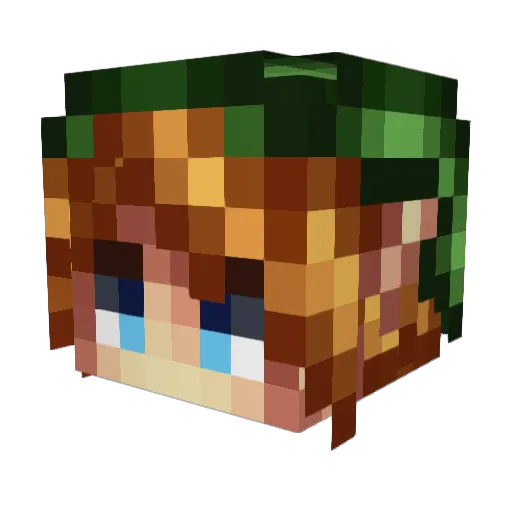 Dhaull Minecraft avatar head, 3D render