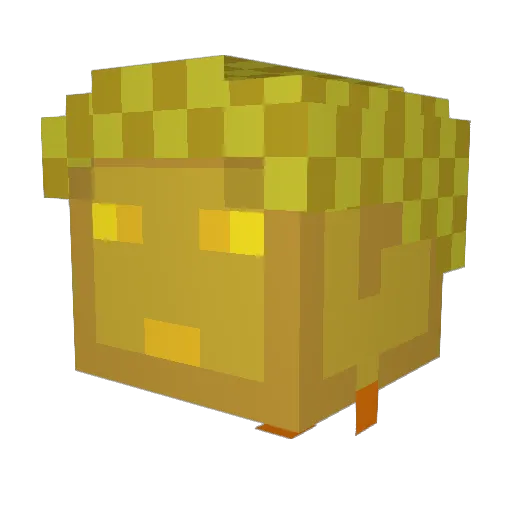 Dhitachi Minecraft avatar head, 3D render