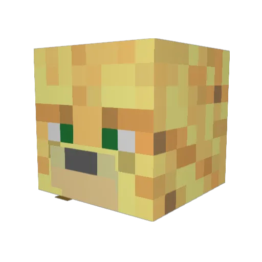 Dhruul Minecraft avatar head, 3D render