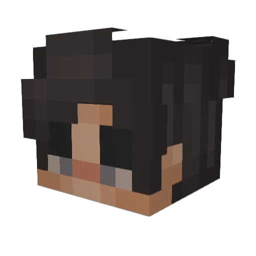 Dhruv Minecraft avatar head, 3D render