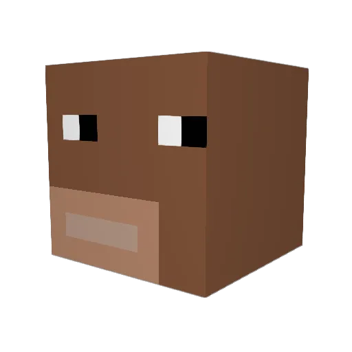 DhruvChakraBorty Minecraft avatar head, 3D render
