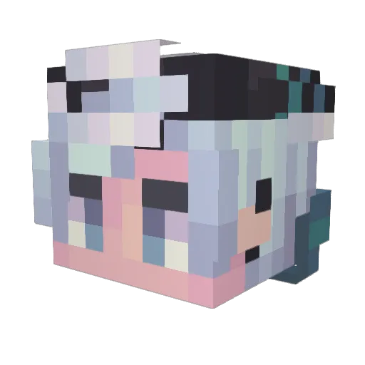 Dhruve101 Minecraft avatar head, 3D render