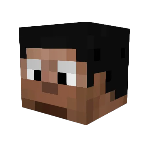Dhruvvvy Minecraft avatar head, 3D render