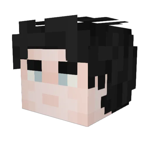 Dhshc Minecraft avatar head, 3D render