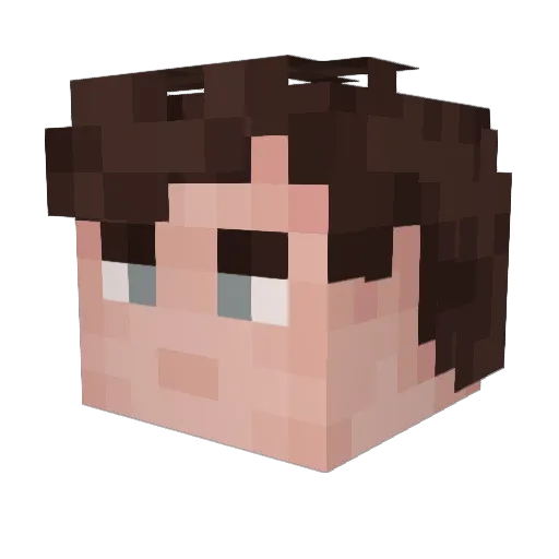 Dhshcc Minecraft avatar head, 3D render