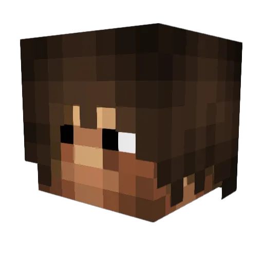 Dhylien Minecraft avatar head, 3D render