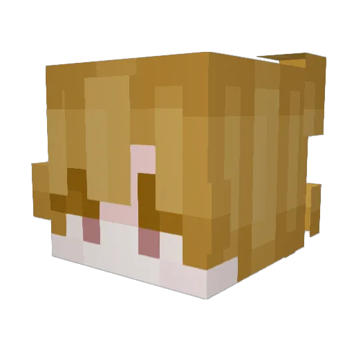 Dhzrma Minecraft avatar head, 3D render