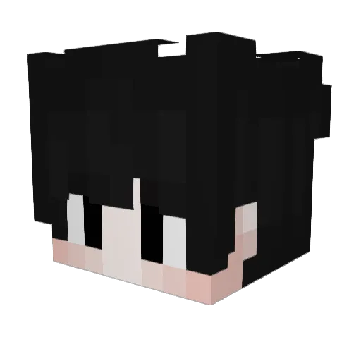 DiDi124 Minecraft avatar head, 3D render