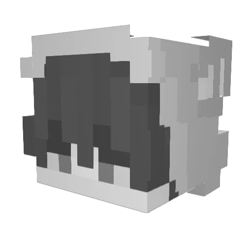 DiDi556 Minecraft avatar head, 3D render