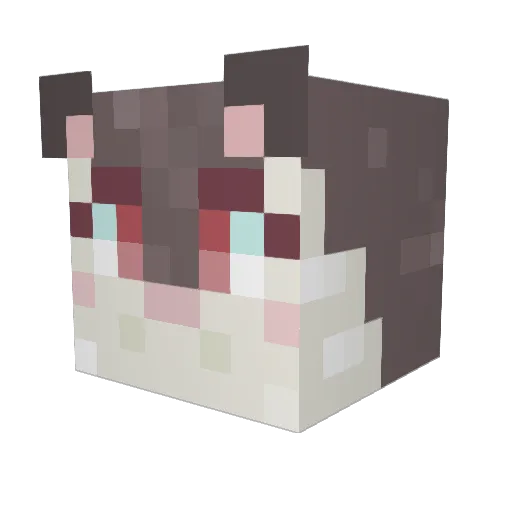 DiDo_Op Minecraft avatar head, 3D render