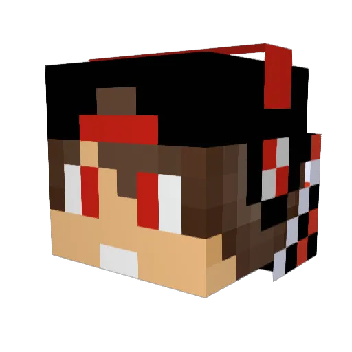 DiGamer_26 Minecraft avatar head, 3D render