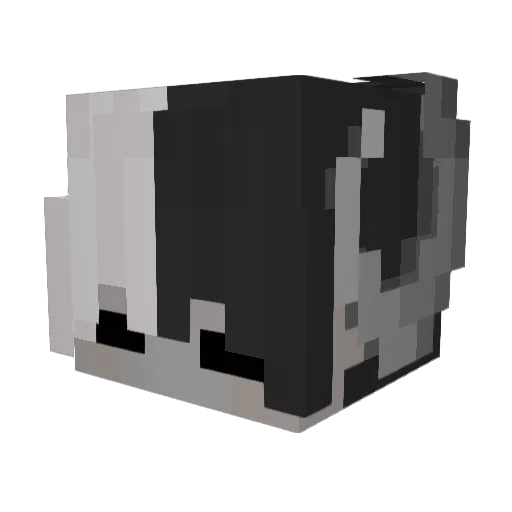 DiLite_ Minecraft avatar head, 3D render