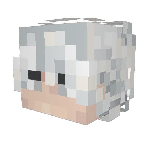 DiNOBOYx56 Minecraft avatar head, 3D render