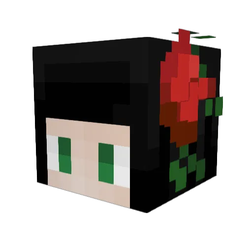 Minecraft-Avatar von DiRoyz: Kopf als 3D-Render